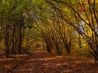 Beskid Niski